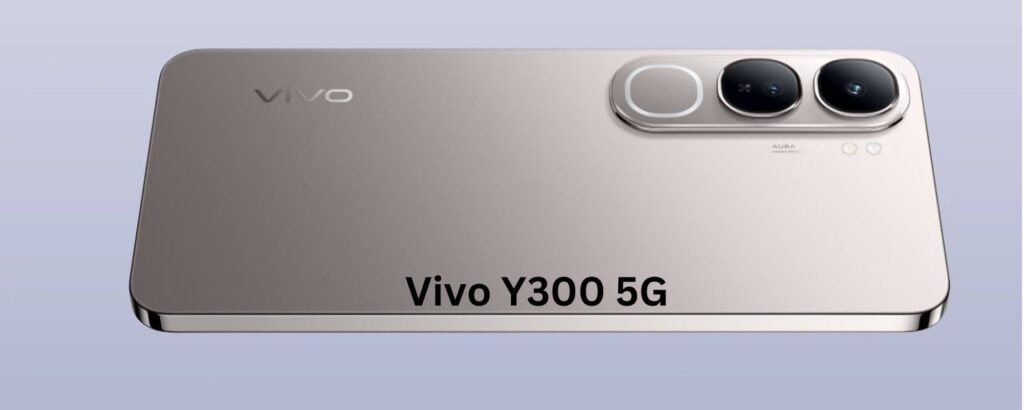 Vivo Y300 Price